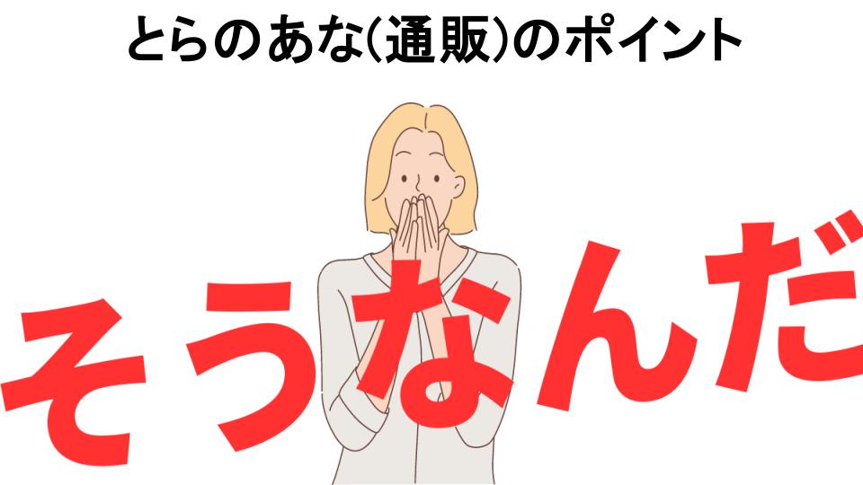 意味ないと思う人におすすめ！とらのあな(通販)のポイントの代わり